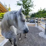 Barbana Lipizzans Camper Park - Pitches For Campers And Tents *