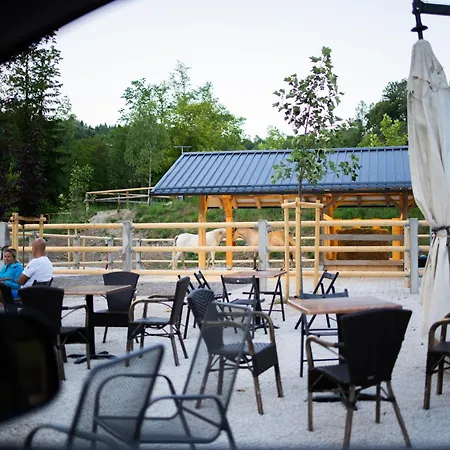 Barbana Lipizzans Camper Park - Pitches For Campers And Tents *