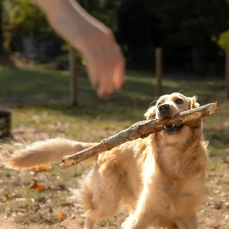 Camping Barbana Lipizzans Camper Park - Pitches For Campers And Tents *