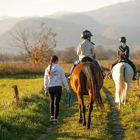 Barbana Lipizzans Camper Park - Pitches For Campers And Tents Kemp