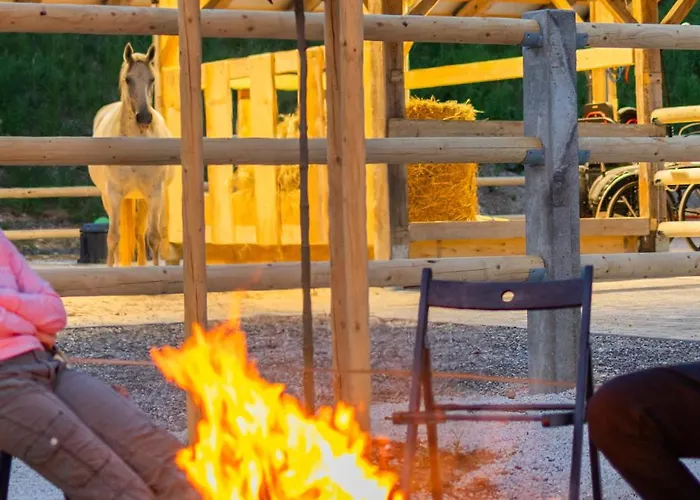 Kemp Barbana Lipizzans Camper Park - Pitches For Campers And Tents