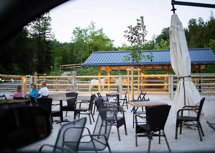 Barbana Lipizzans Camper Park - Pitches For Campers And Tents *