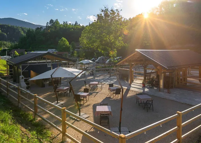 Barbana Lipizzans Camper Park - Pitches For Campers And Tents ラドヴリツァ