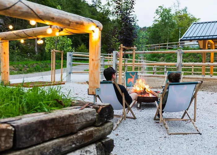 Barbana Lipizzans Camper Park - Pitches For Campers And Tents キャンプ場 *