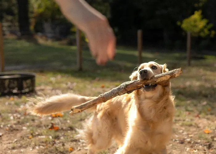 Kemp Barbana Lipizzans Camper Park - Pitches For Campers And Tents *