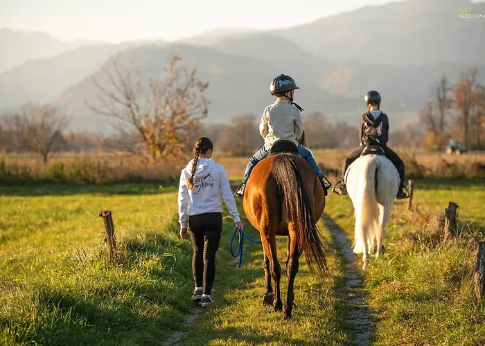 Barbana Lipizzans Camper Park - Pitches For Campers And Tents キャンプ場